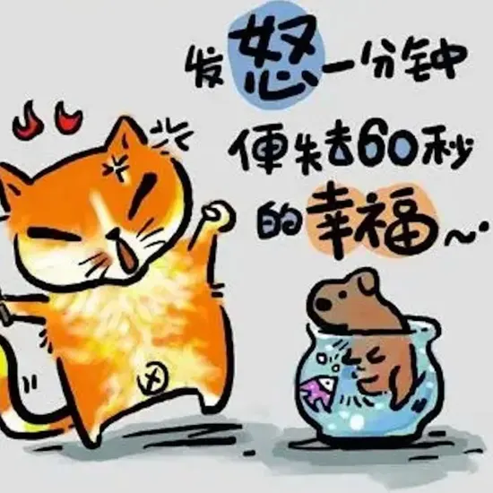 颁奖典礼直播